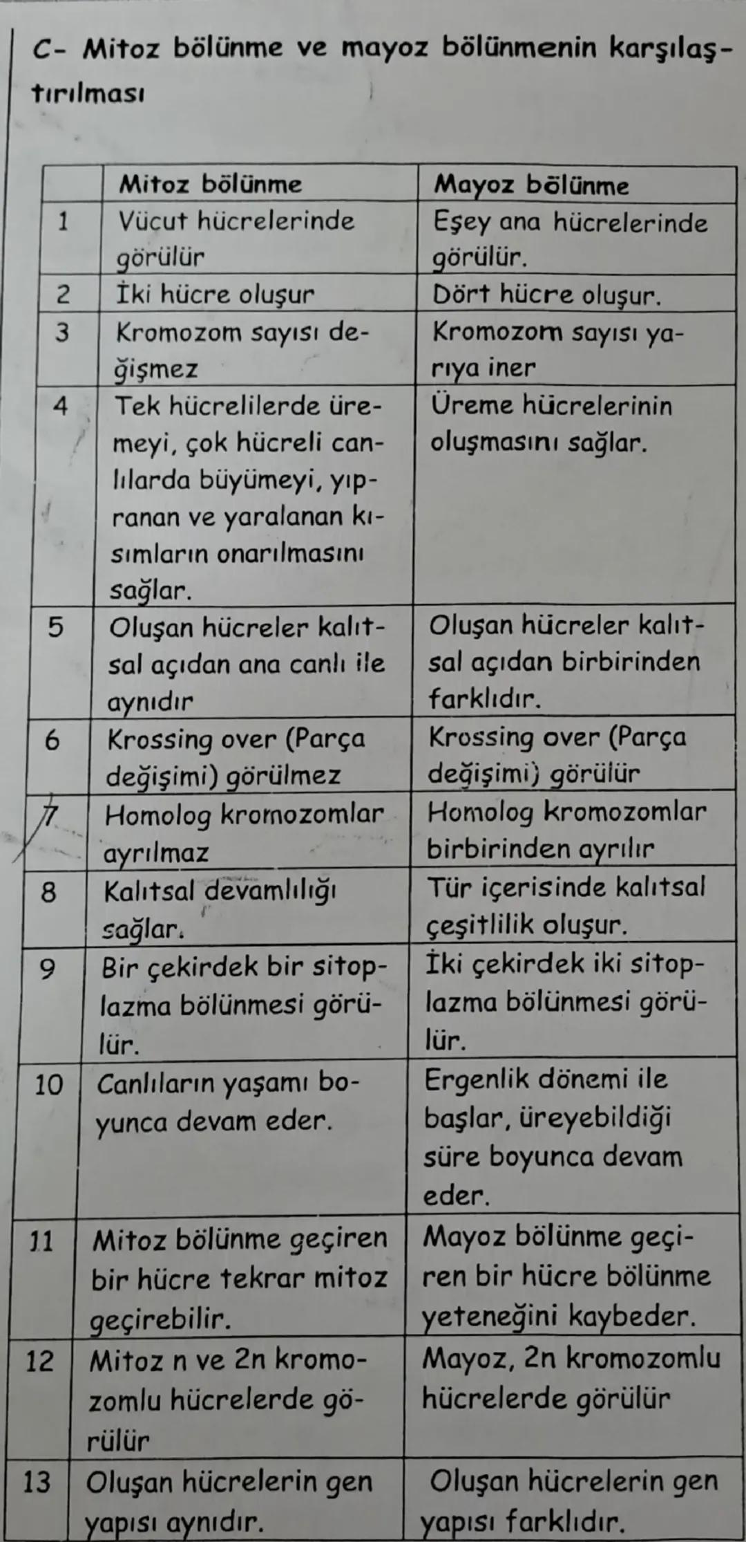 C- Mitoz bölünme ve mayoz bölünmenin karşılaş-
tırılması
Mitoz bölünme
1
Vücut hücrelerinde
görülür
2
İki hücre oluşur
3
4
5
6
Kromozom sayı