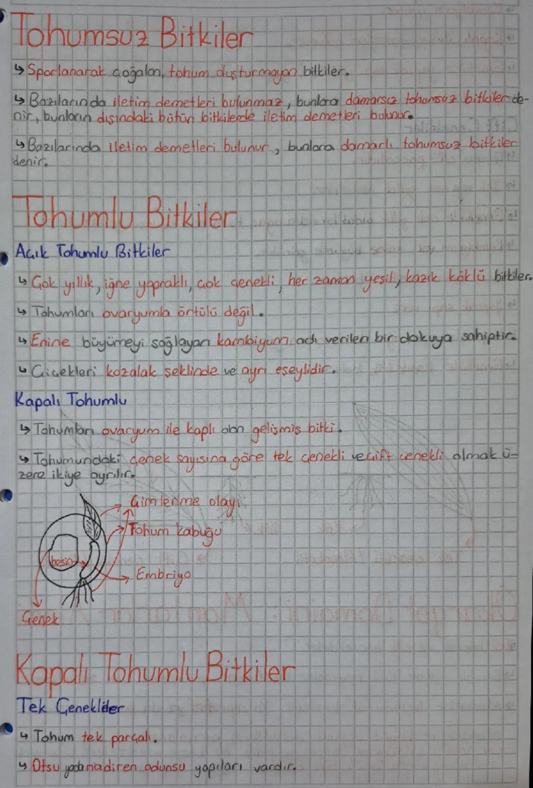 Canlılar

★Bitki

Aristo Yapay Sınıflandırma

Geçerli değil.

âlem sube sınıftakım aile cinstür

büyük → küçük

Birey sayısı azalır.

Geşitl