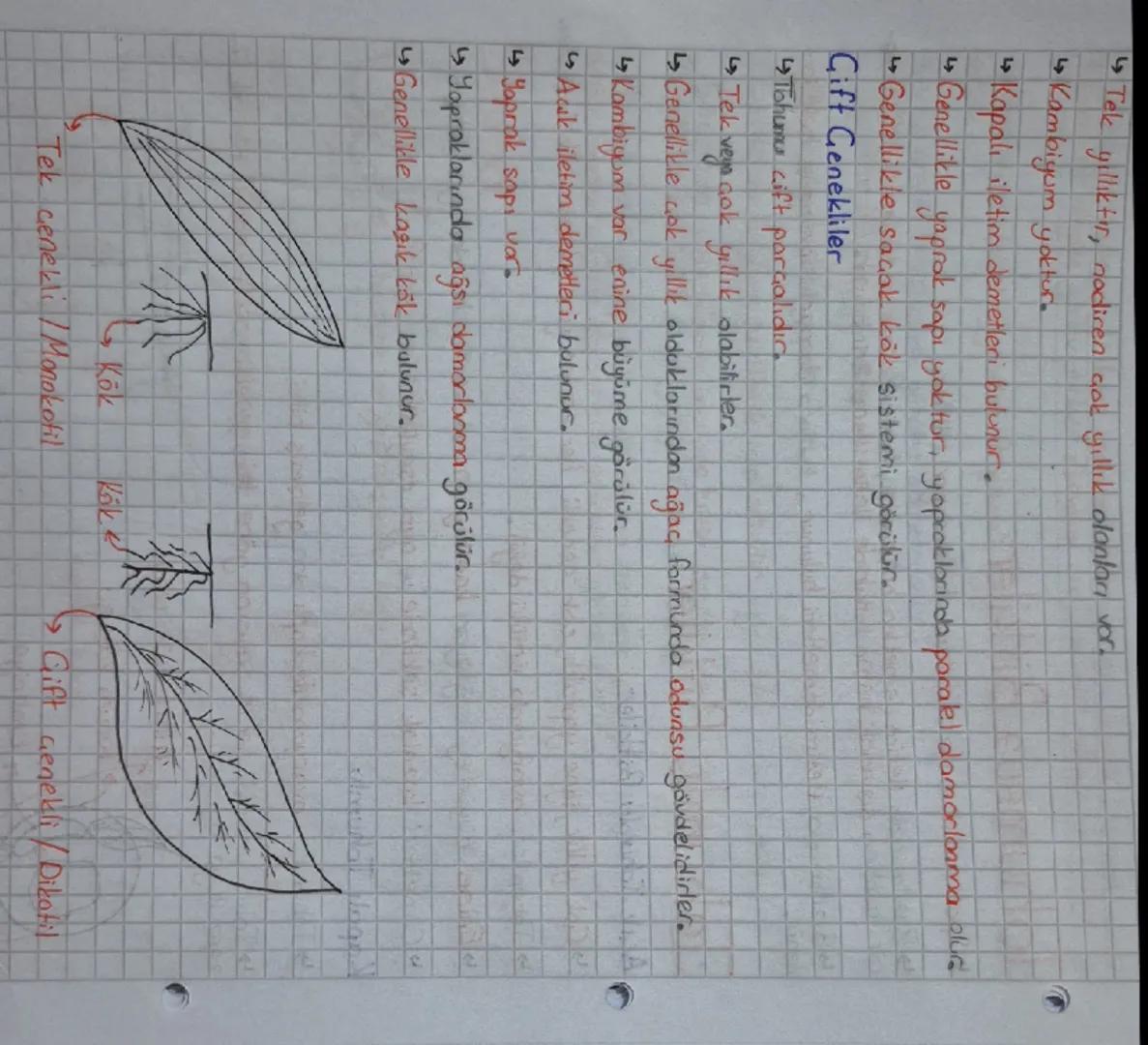 Canlılar

★Bitki

Aristo Yapay Sınıflandırma

Geçerli değil.

âlem sube sınıftakım aile cinstür

büyük → küçük

Birey sayısı azalır.

Geşitl