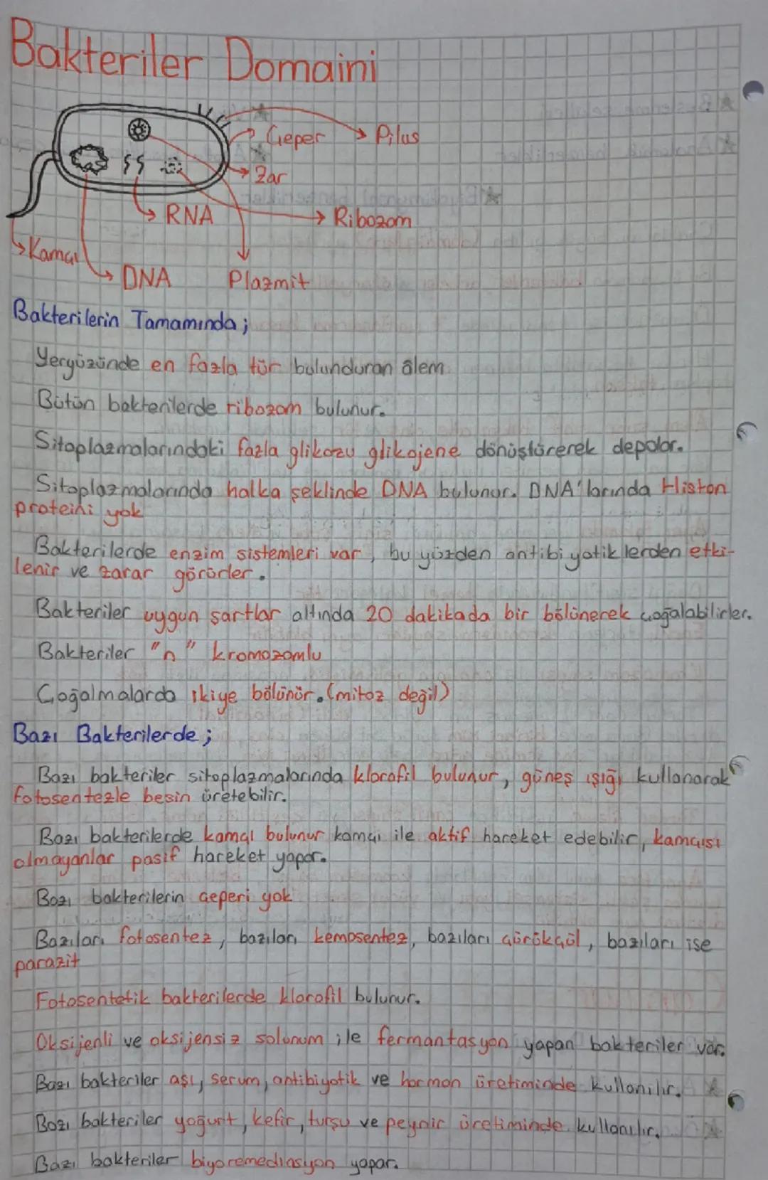 Canlılar

★Bitki

Aristo Yapay Sınıflandırma

Geçerli değil.

âlem sube sınıftakım aile cinstür

büyük → küçük

Birey sayısı azalır.

Geşitl