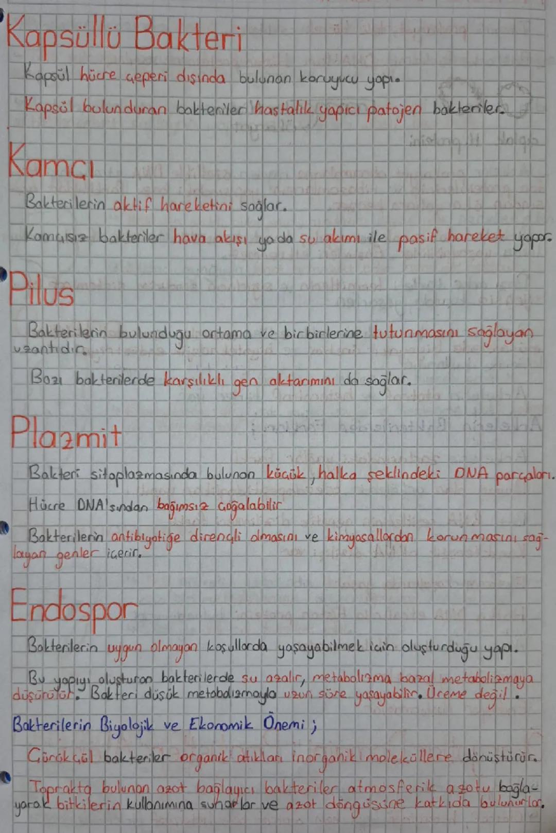 Canlılar

★Bitki

Aristo Yapay Sınıflandırma

Geçerli değil.

âlem sube sınıftakım aile cinstür

büyük → küçük

Birey sayısı azalır.

Geşitl