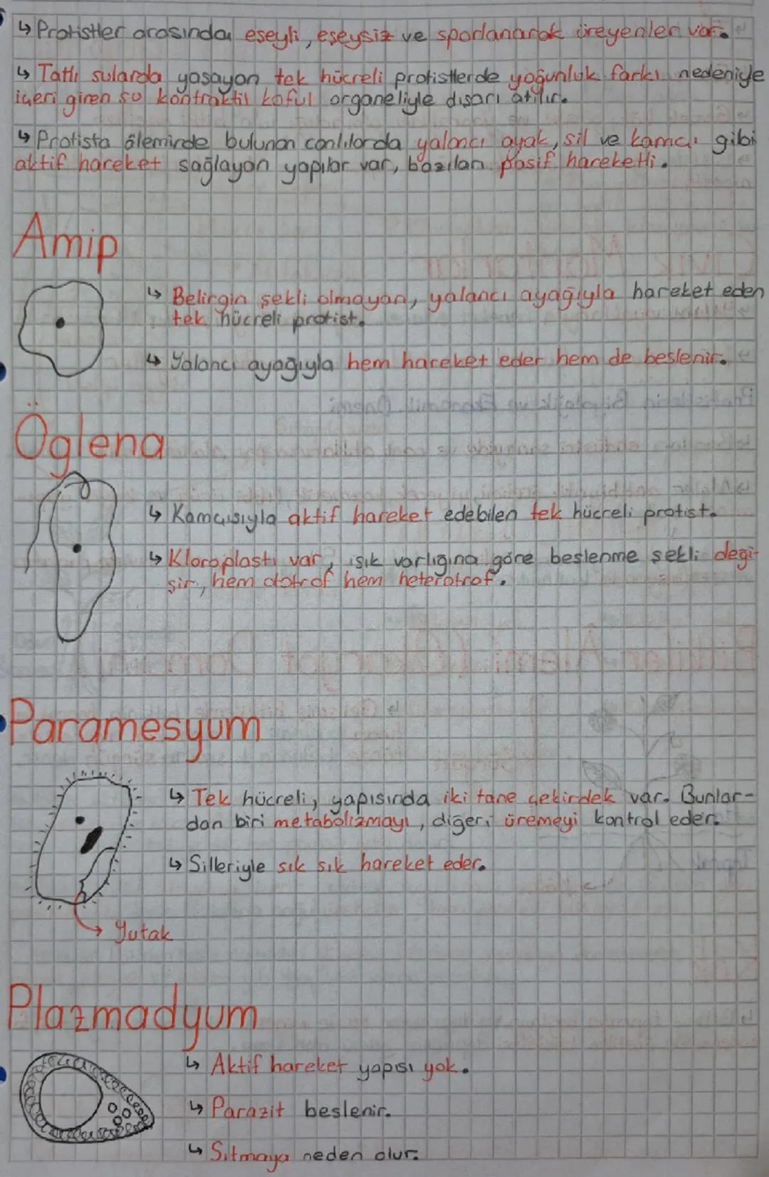 Canlılar

★Bitki

Aristo Yapay Sınıflandırma

Geçerli değil.

âlem sube sınıftakım aile cinstür

büyük → küçük

Birey sayısı azalır.

Geşitl