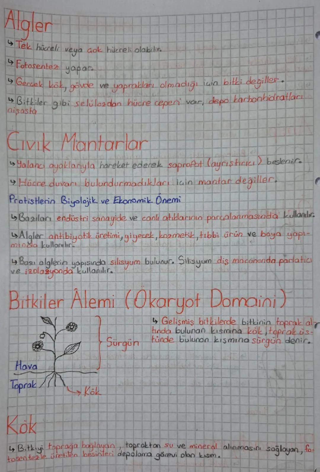 Canlılar

★Bitki

Aristo Yapay Sınıflandırma

Geçerli değil.

âlem sube sınıftakım aile cinstür

büyük → küçük

Birey sayısı azalır.

Geşitl