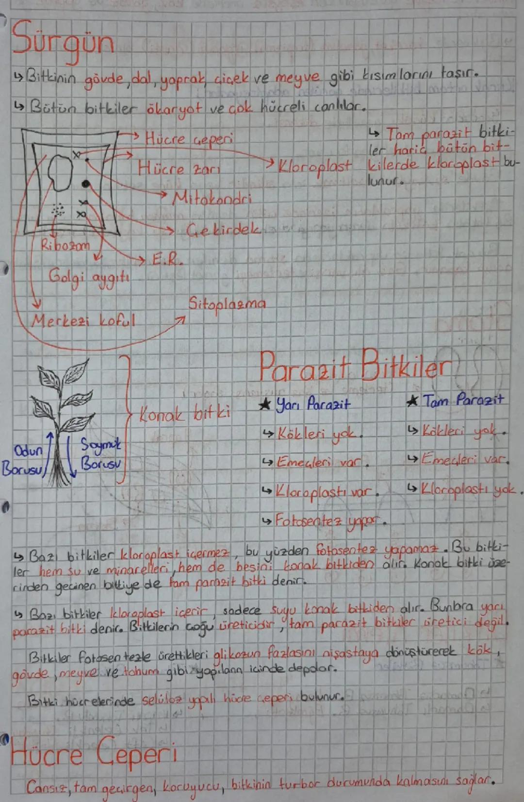 Canlılar

★Bitki

Aristo Yapay Sınıflandırma

Geçerli değil.

âlem sube sınıftakım aile cinstür

büyük → küçük

Birey sayısı azalır.

Geşitl