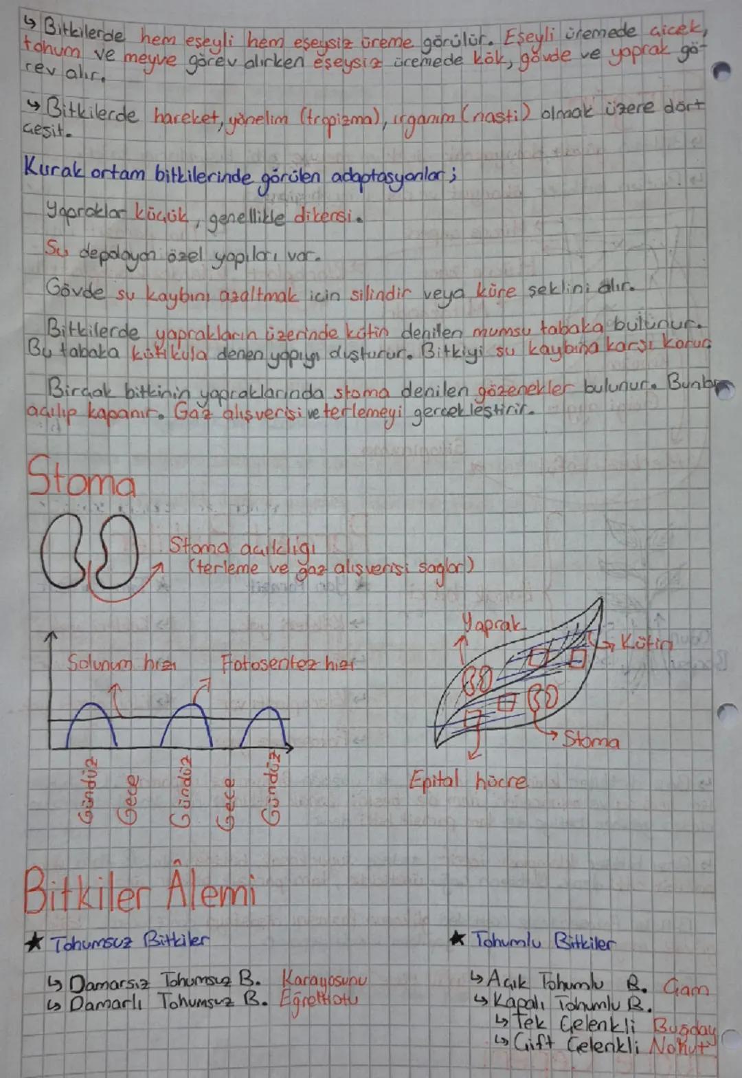 Canlılar

★Bitki

Aristo Yapay Sınıflandırma

Geçerli değil.

âlem sube sınıftakım aile cinstür

büyük → küçük

Birey sayısı azalır.

Geşitl