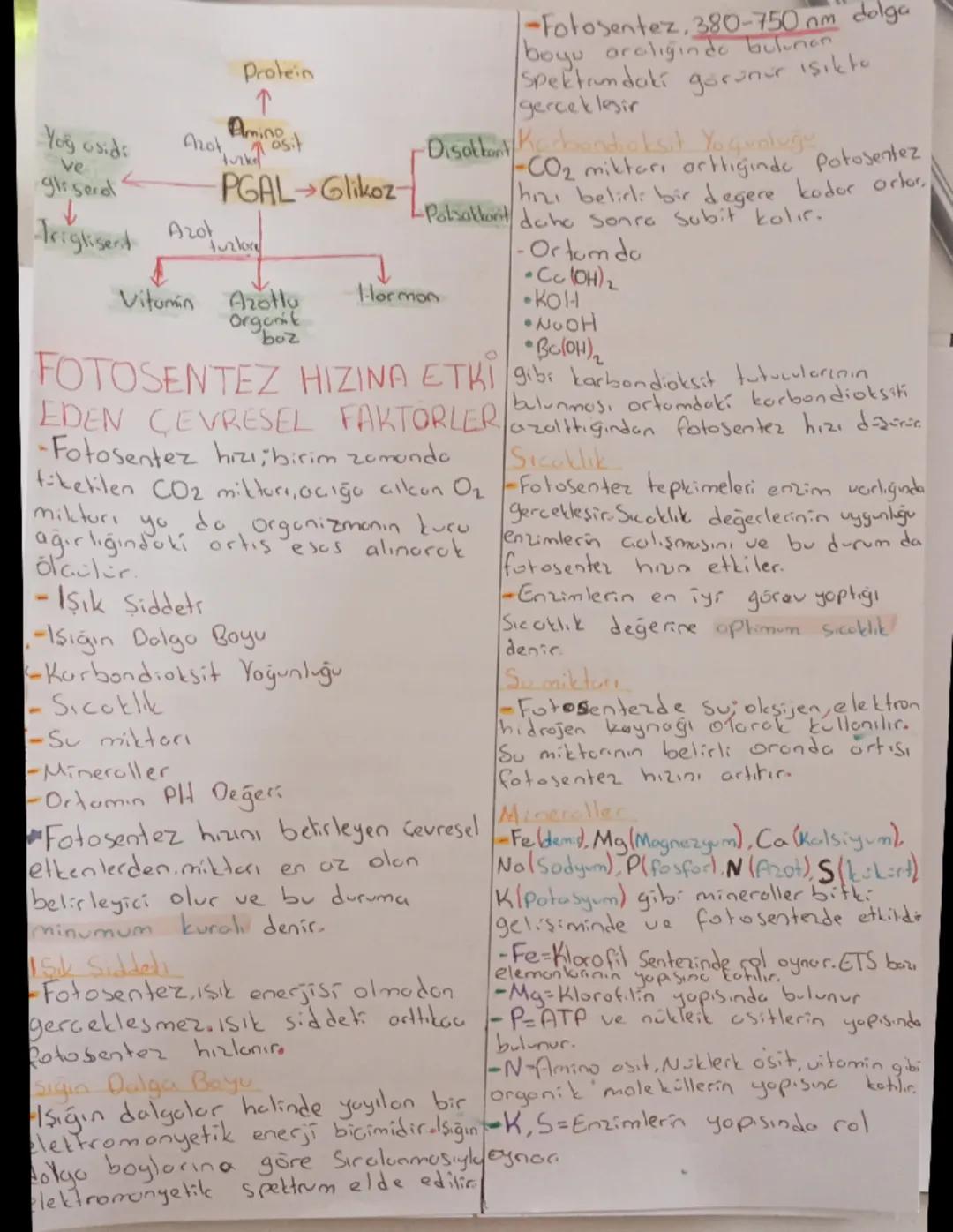 # FOTOSENTEZ TANIMI - Bu sekilde
-Onlıların isik enerjisini kullanarak
Korbondioksit ve su gibi inargonik
maddelerden organik modde
-Bu seki
