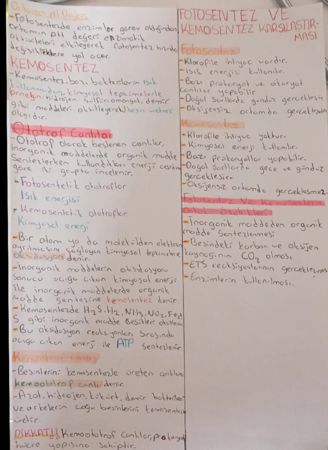 # FOTOSENTEZ TANIMI - Bu sekilde
-Onlıların isik enerjisini kullanarak
Korbondioksit ve su gibi inargonik
maddelerden organik modde
-Bu seki