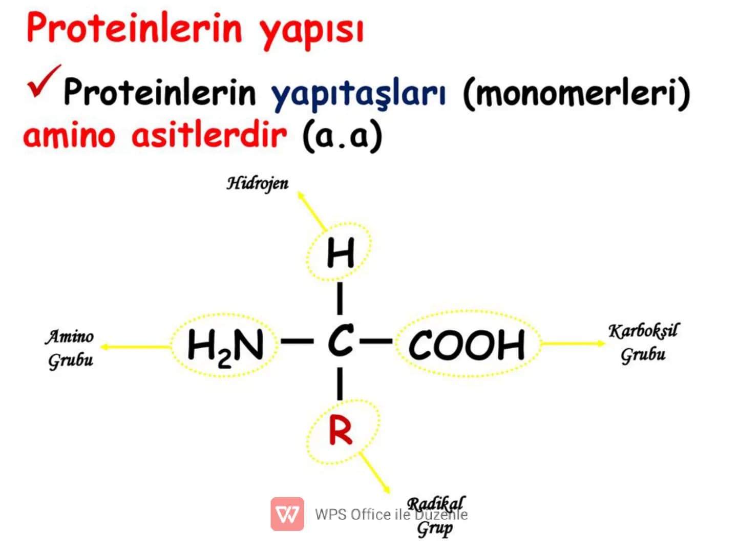 PROTEIN
ICEREN
BESINLER
WWPS Office ile Düzenle 3) PROTEİNLER
✓ Canlıların yapısında en fazla bulunan organik moleküldür.
✔ Yapısında C, H, 