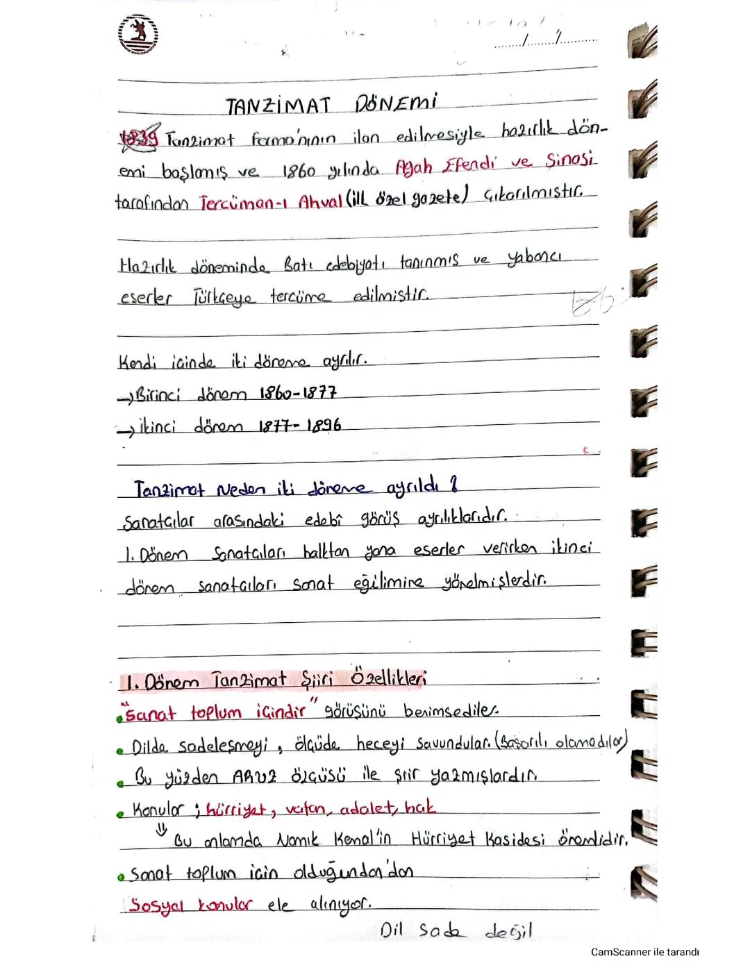 Tanzimat Dönemi Özeti