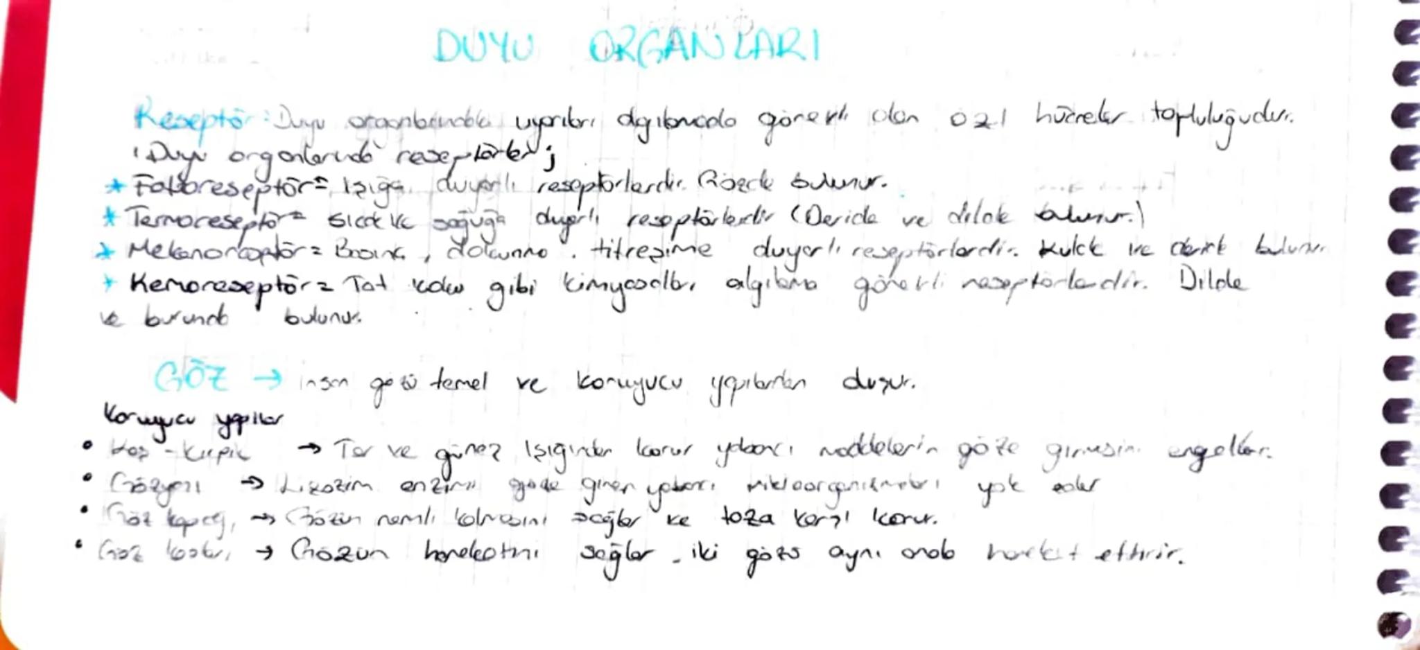 DUYU ORGAN BARI
Reseptor Duyu Stanbandbla uxoribri degibnodo gonepli don 021 hücreler topluluğudur.
Duy organlarida reseptorler;
* Falbresep