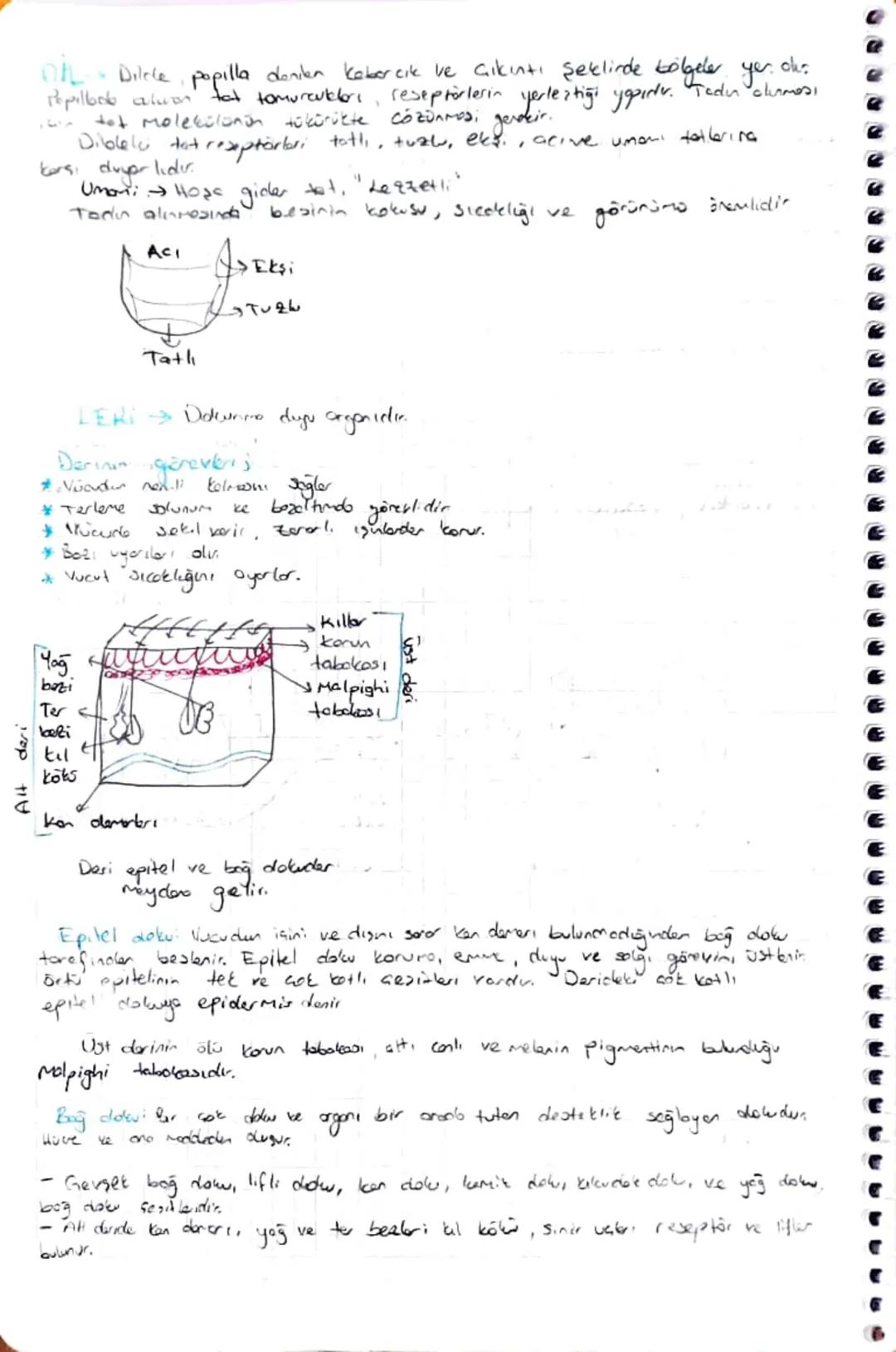 DUYU ORGAN BARI
Reseptor Duyu Stanbandbla uxoribri degibnodo gonepli don 021 hücreler topluluğudur.
Duy organlarida reseptorler;
* Falbresep