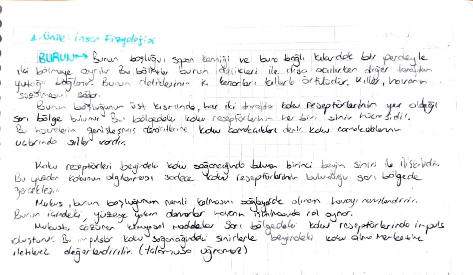 DUYU ORGAN BARI
Reseptor Duyu Stanbandbla uxoribri degibnodo gonepli don 021 hücreler topluluğudur.
Duy organlarida reseptorler;
* Falbresep