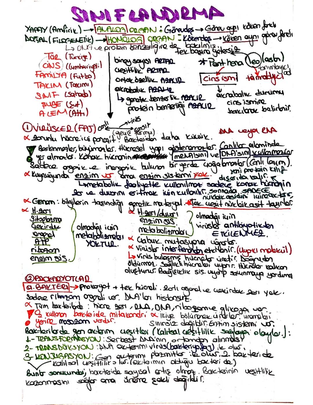 TYT Biyoloji Canlıların Sınıflandırılması