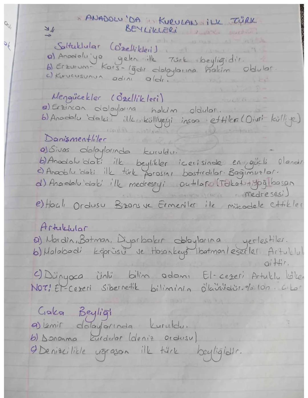 Anadolu'da Kurulan İlk Türk Devletleri 