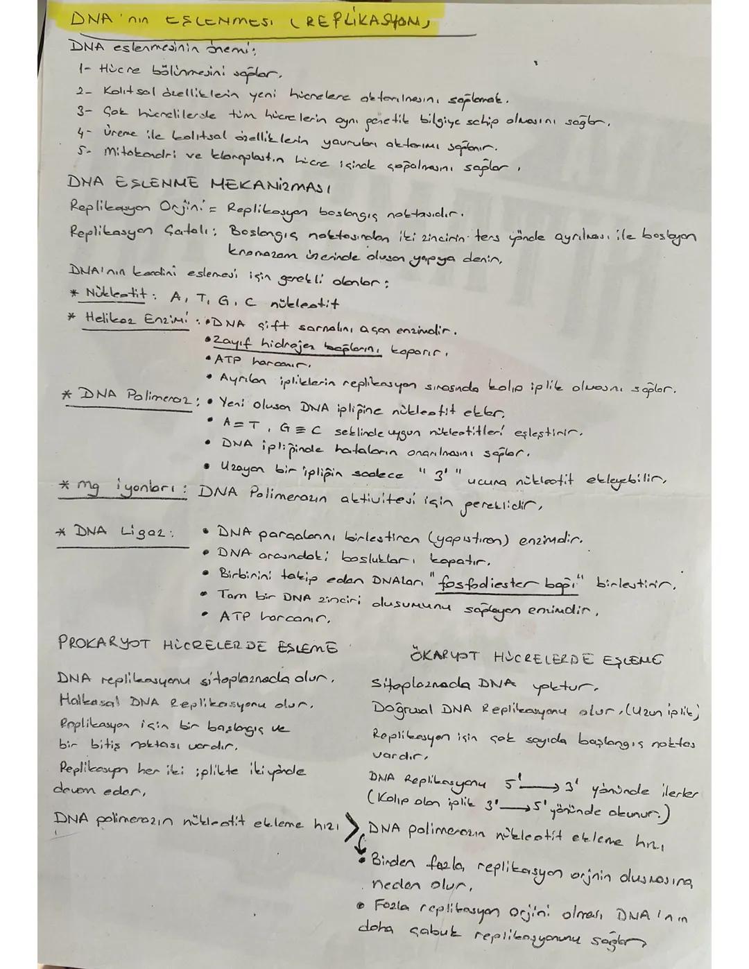 DNA’nın eşlenmesi (replikasyon)