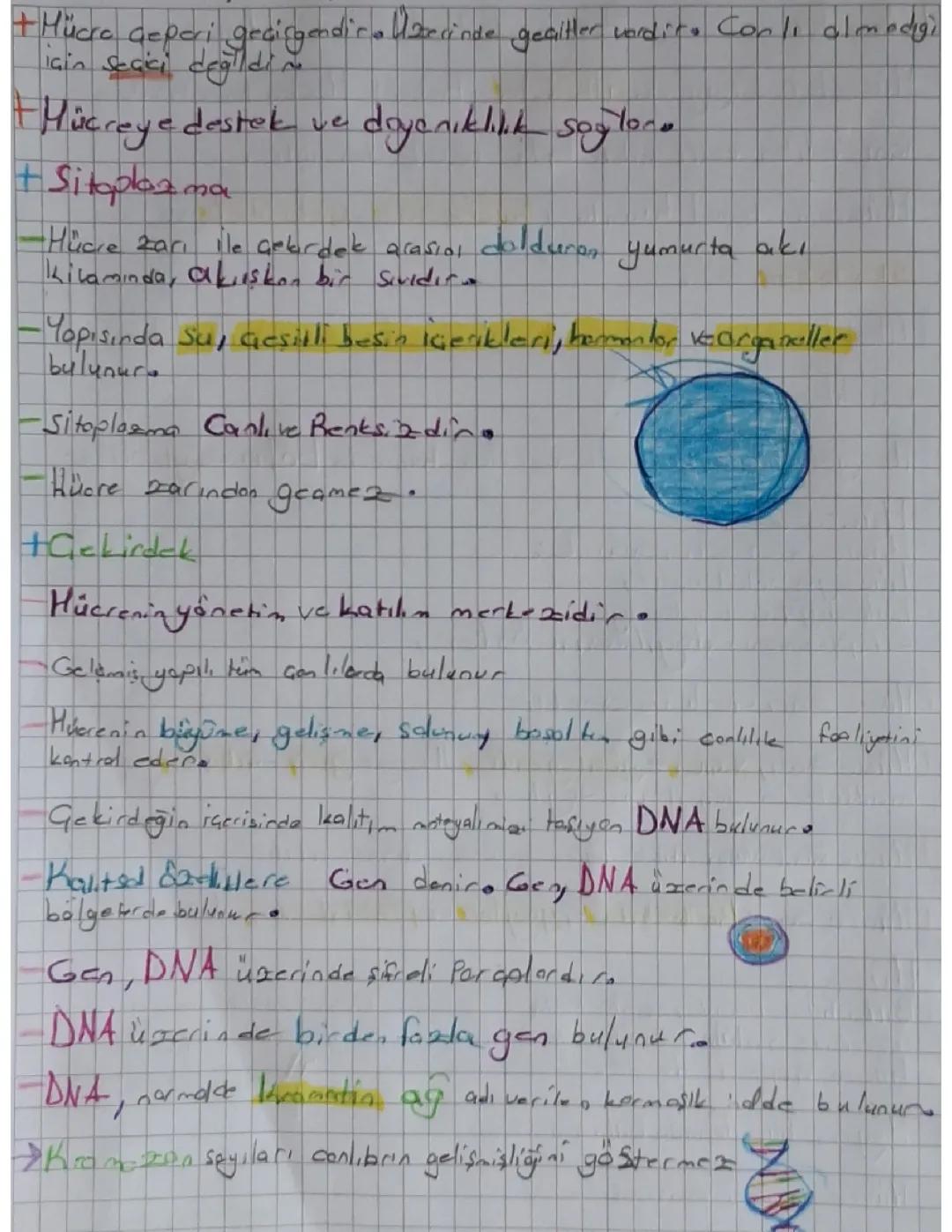 7.SINIF FEN BİLİMLERİ KONU ÖZETİ 2