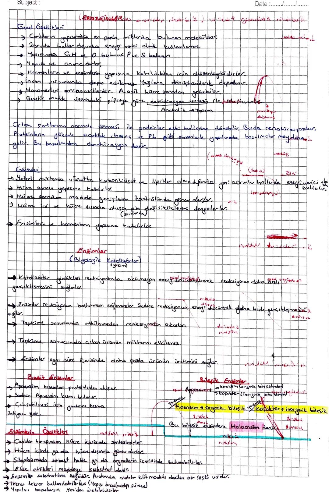 Subject:
Date/
Genel Özellikleri
PROTEINLERING
> Conkern youısında en poela miktarda bulunca mdewildir.
+ Zorunlu heller disinda energs veri