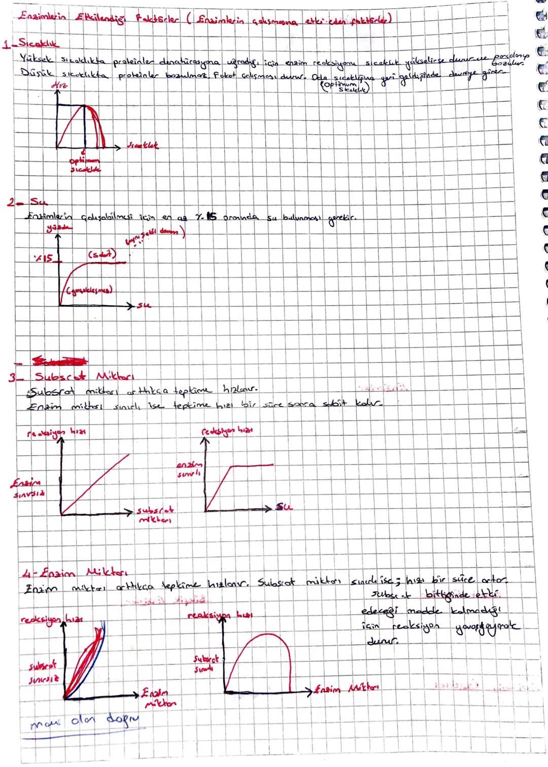 Subject:
Date/
Genel Özellikleri
PROTEINLERING
> Conkern youısında en poela miktarda bulunca mdewildir.
+ Zorunlu heller disinda energs veri