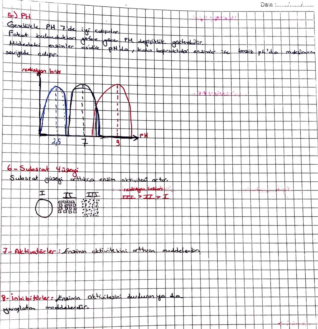 Subject:
Date/
Genel Özellikleri
PROTEINLERING
> Conkern youısında en poela miktarda bulunca mdewildir.
+ Zorunlu heller disinda energs veri