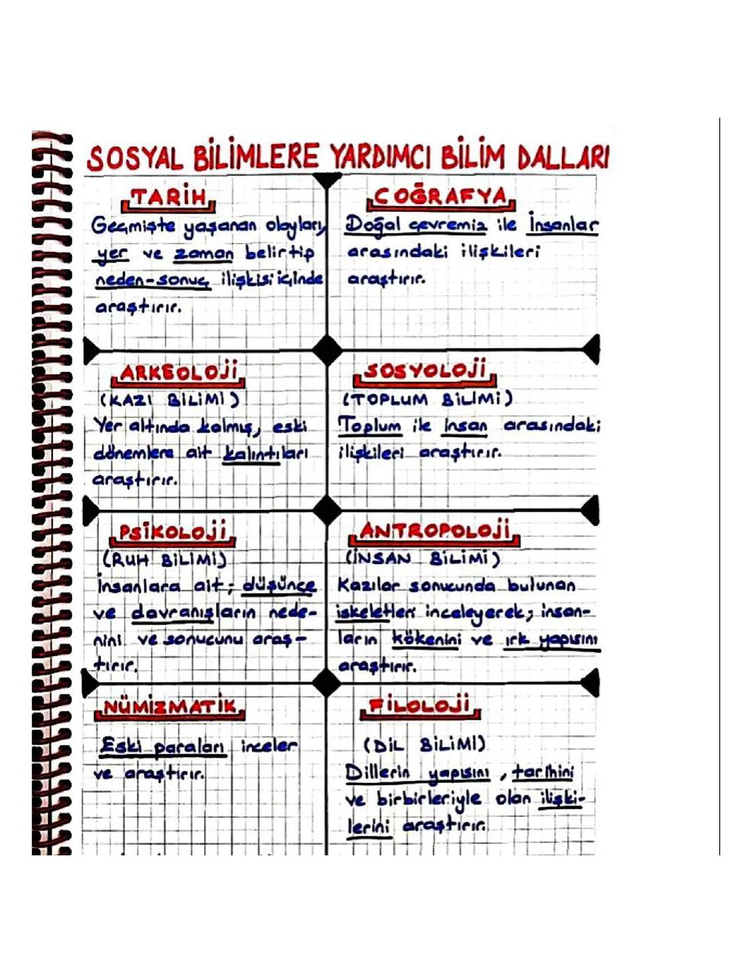 6. Sınıf Sosyal Bilim Dalları ve Anlamları – Kısaca Açıklamalar