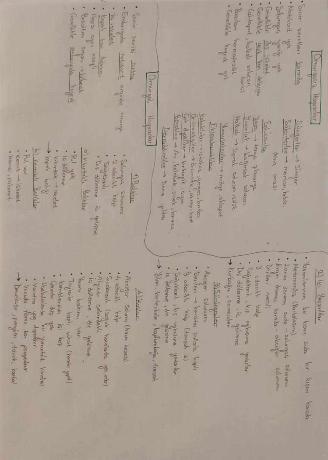Yapay (Ampirik) Smitlandirma
dis görünüş, yaşadığı ortam
CANLILARIN SINIFLANDIRILMASI
Prokaryotlar Alemi
Hücre duvarı →Peptidoglikan
→Polisa