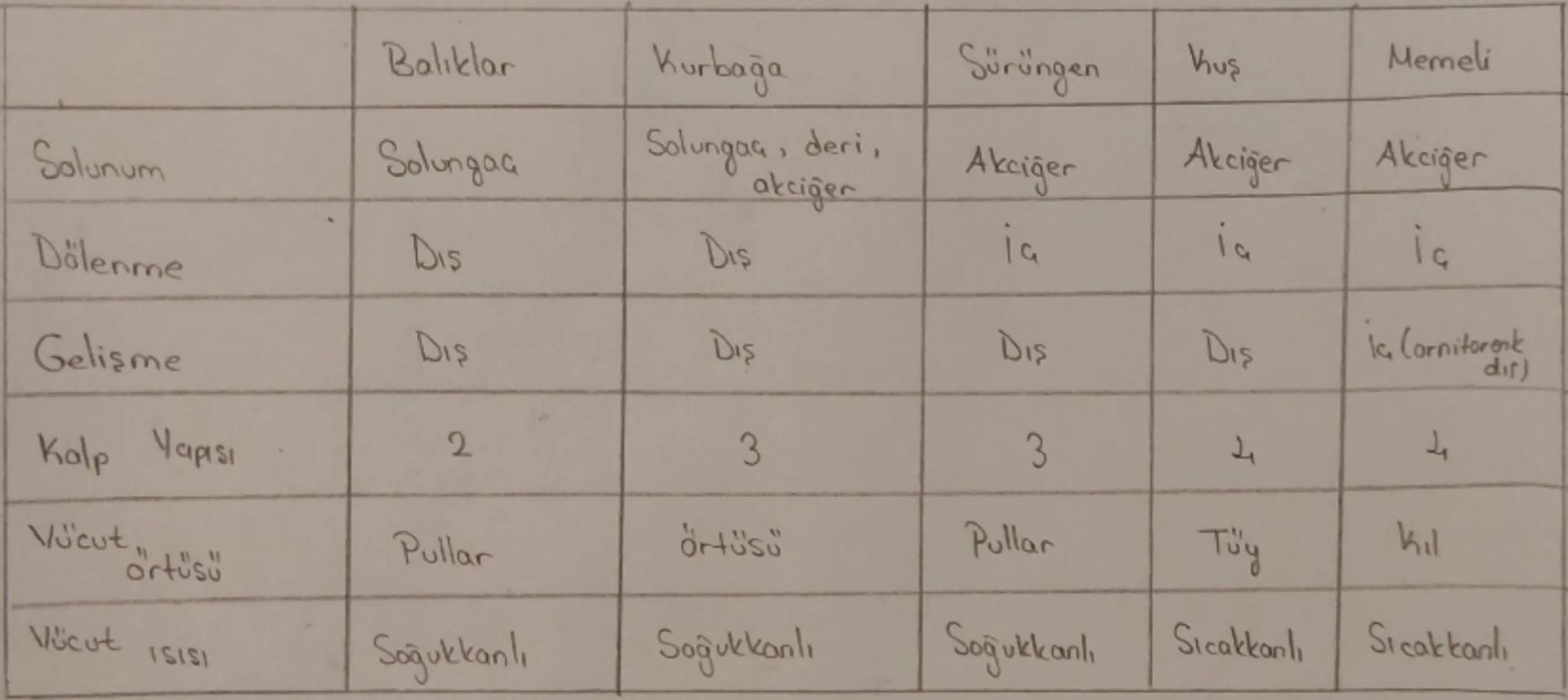 Yapay (Ampirik) Smitlandirma
dis görünüş, yaşadığı ortam
CANLILARIN SINIFLANDIRILMASI
Prokaryotlar Alemi
Hücre duvarı →Peptidoglikan
→Polisa