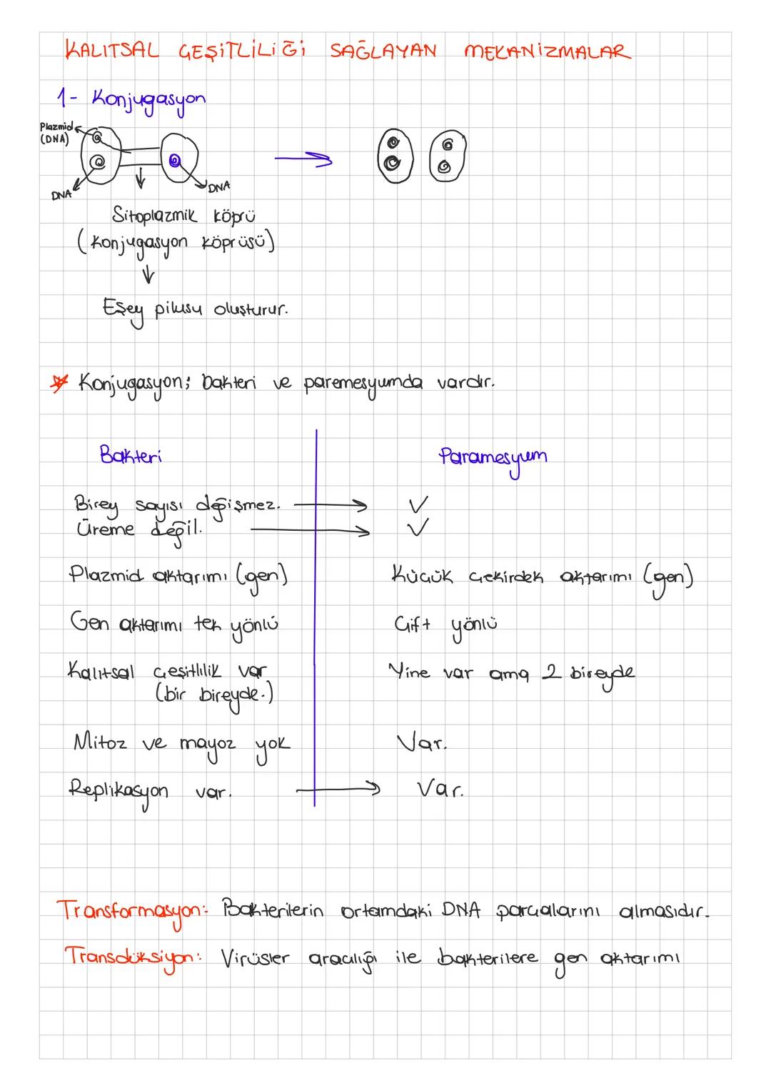 KALITSAL GESITLİLİĞİ SAĞLAYAN MEKANİZMALAR
1- Konjugasyon
Plazmid
(DNA)
O
DNA
DNA
Sitoplazmik köprü
(Konjugasyon köprüsü)
↓
Eşey pilusu oluş