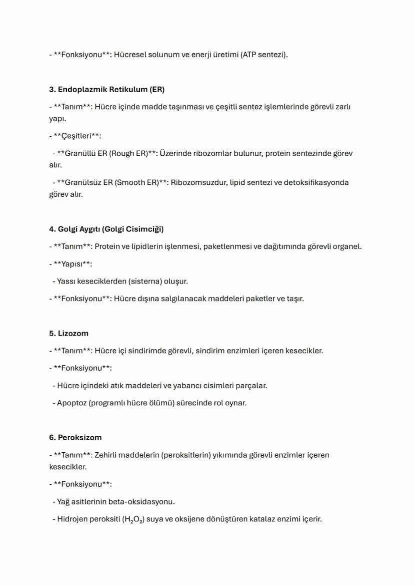 TYT BİYOLOJİ SİTOPLAZMA VE ORGANELLER
Sitoplazma ve Organeller
Sitoplazma
- **Tanım**: Hücre zarı ile çekirdek arasında yer alan, organeller
