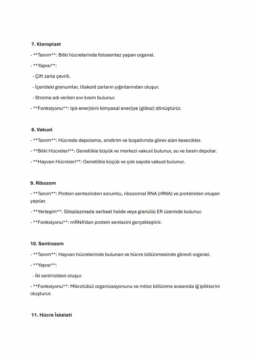 TYT BİYOLOJİ SİTOPLAZMA VE ORGANELLER
Sitoplazma ve Organeller
Sitoplazma
- **Tanım**: Hücre zarı ile çekirdek arasında yer alan, organeller