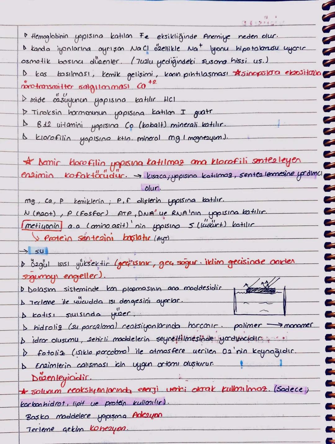 iMORGANİK BİLEŞİKLER
→MINERALLER
*Solunumda energi vermezler #
•
Hücre earının temel yapısını oluşturur
114
• Canli uucudunda üretilmez dişo