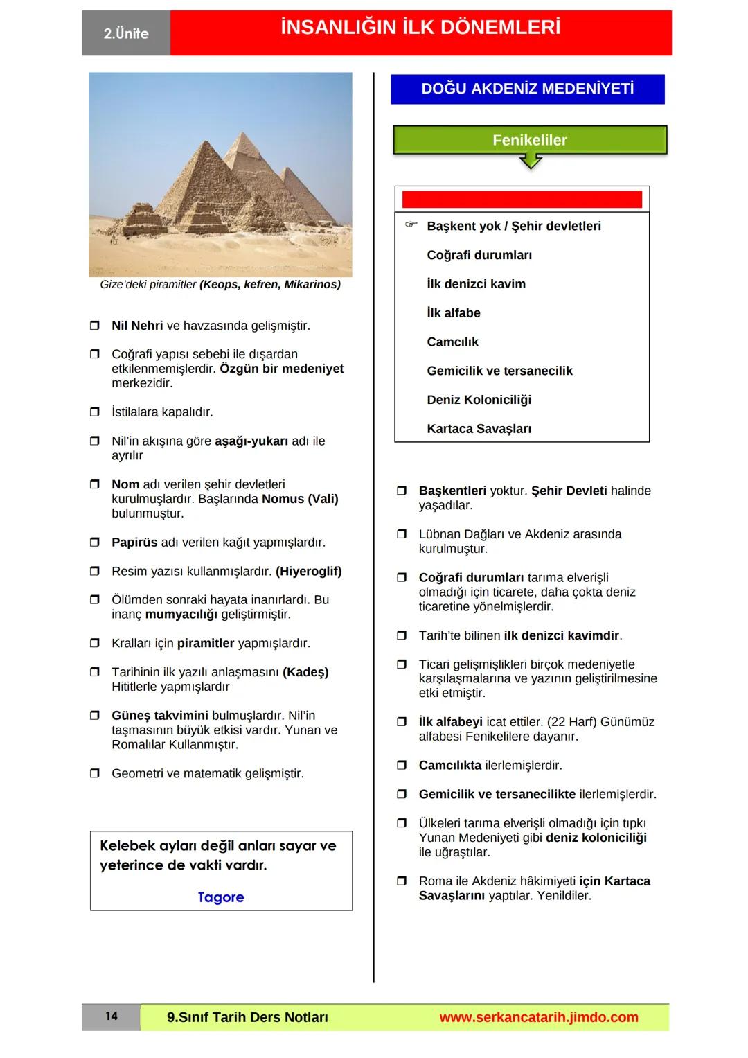 2. Ünite
İNSANLIĞIN İLK DÖNEMLERİ
Yazının İcadından Önce İnsan
Avcılık ve besin toplayıcılığı
Yerleşik yaşam ve tarımsal üretim
Emmer
Tahılı