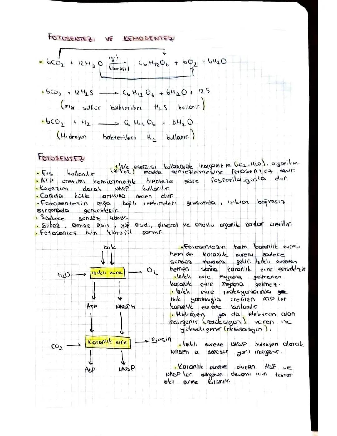 AYT BİO FOTOSENTEZ VE KEMOSENTEZ