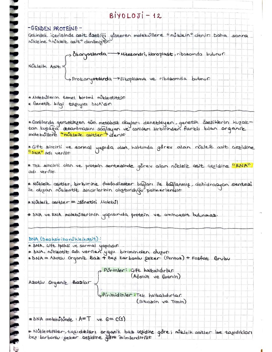 AYT BİYOLOJİ GENDEN PROTEİNE