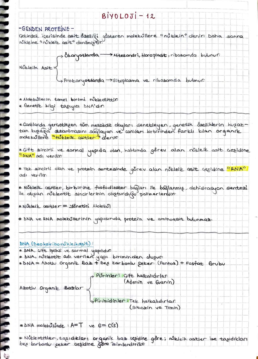 BİYOLOJI - 12
-GENDEN PROTEINE-
Gekirdek içerisinde asit özelliği gösteren moleküllere "nüklein" denir. Daha sonra
nukleine "nukleik asit" d