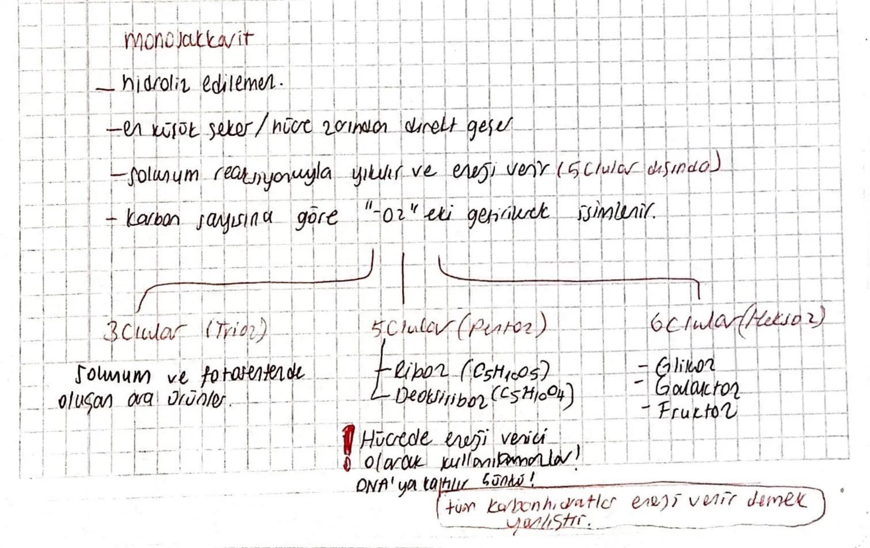 monojakkarit
hidroliz edilemen.
-en küşük seker / nice 20inson direkt geser
-Solusum rear,yonuyla yıkılır ve eresi venir (5 clular disinda)
