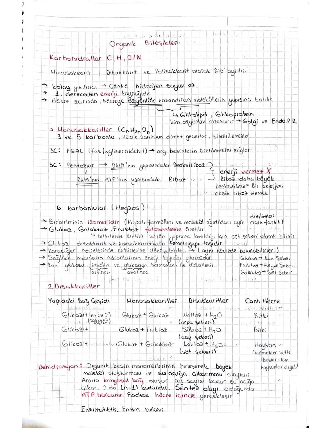Tyt 9. Sınıf Biyoloji Organik Bileşiklerde 1. Karbohidratlar Konu Anlatımı