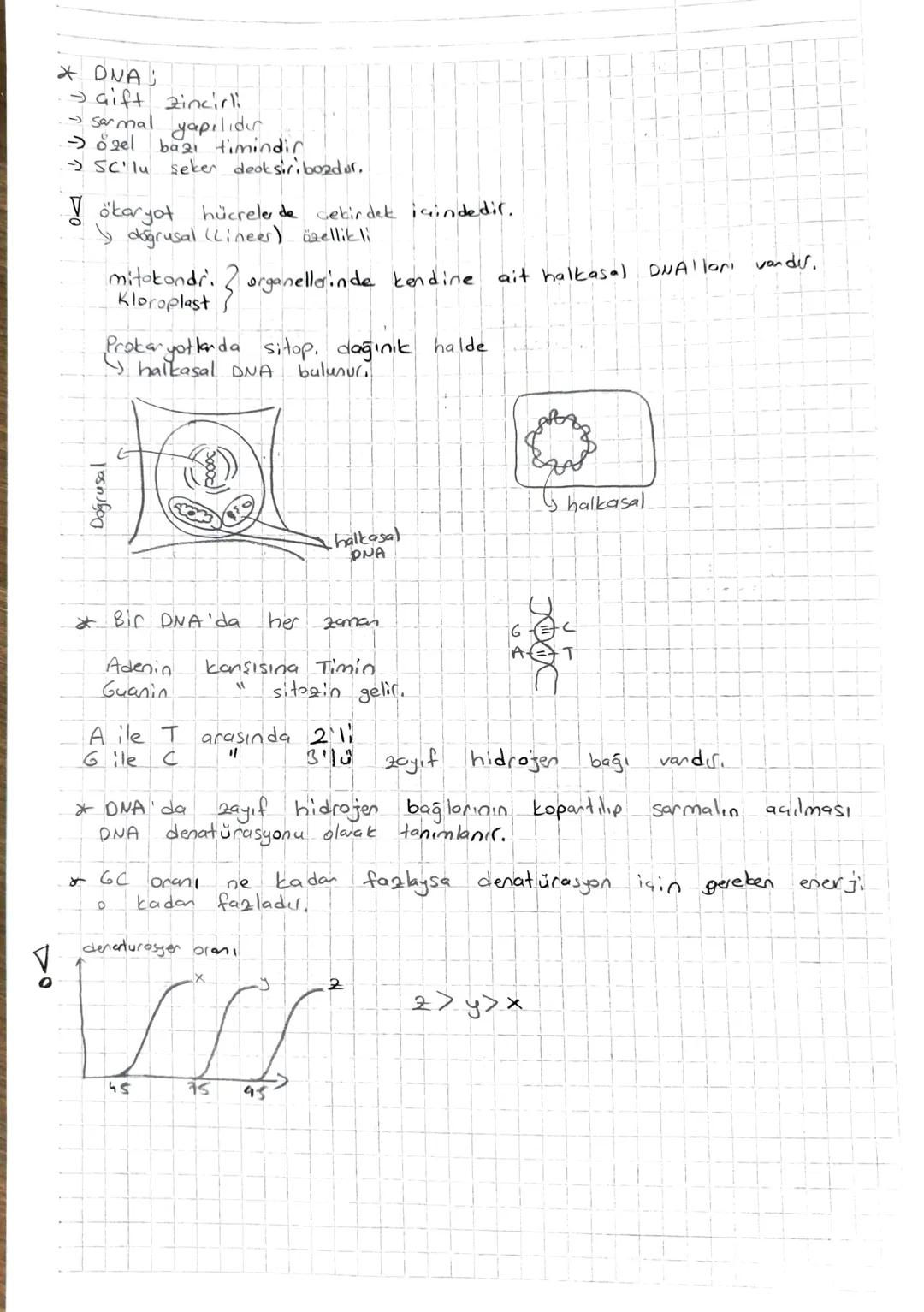 Nükleik Asitler +
* Hücrenin yönetici moleküller, dir.
* DNA
Asit
de ok siribonikkik
ve
RMA
Ribonikleik
Asit
* Yapı taşı Nükleotidlerdir.
fo