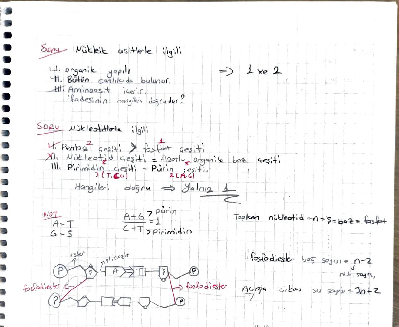 Nükleik Asitler +
* Hücrenin yönetici moleküller, dir.
* DNA
Asit
de ok siribonikkik
ve
RMA
Ribonikleik
Asit
* Yapı taşı Nükleotidlerdir.
fo