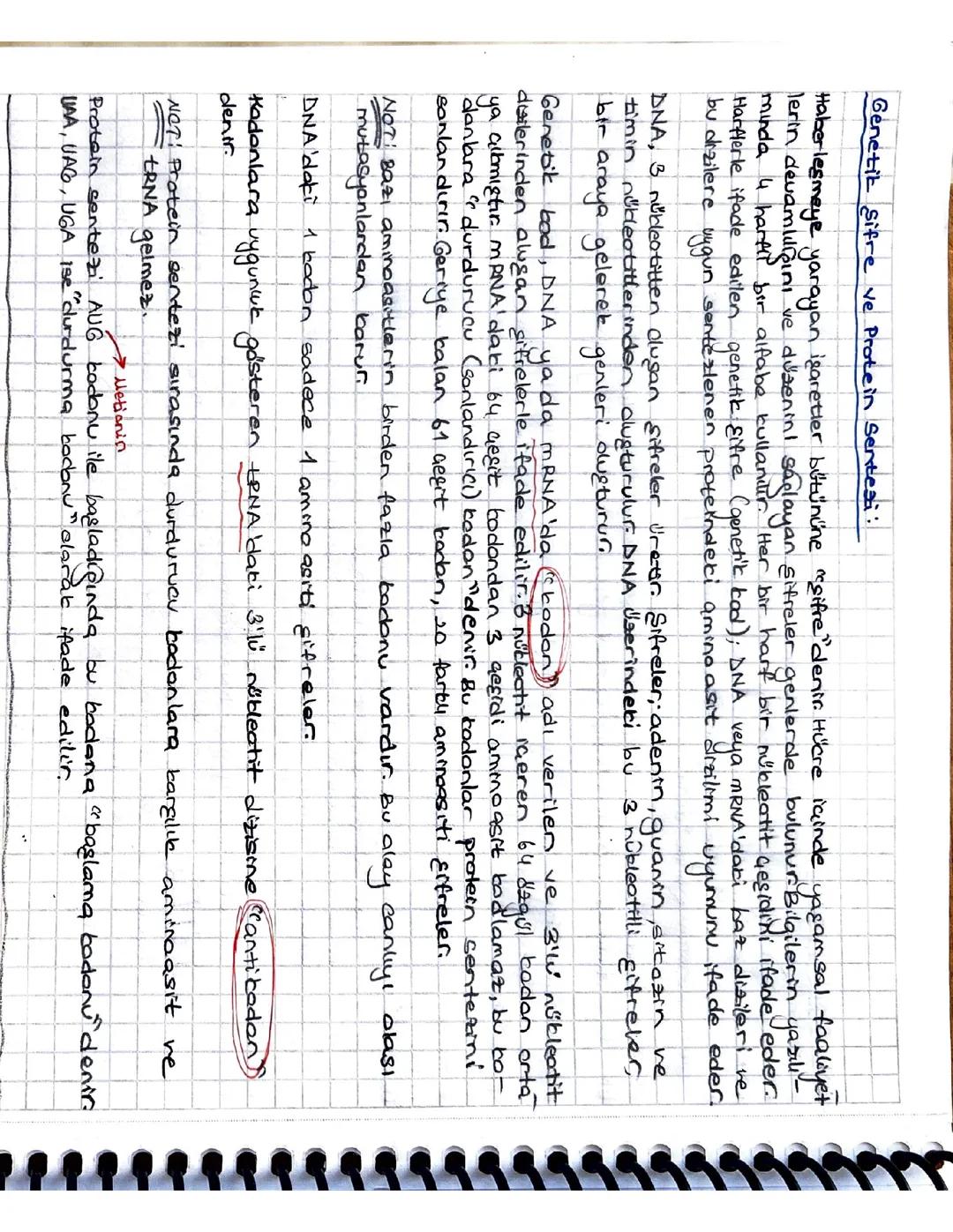 AYT Biyoloji - Genetik Şifre ve Protein Sentezi Rehberi