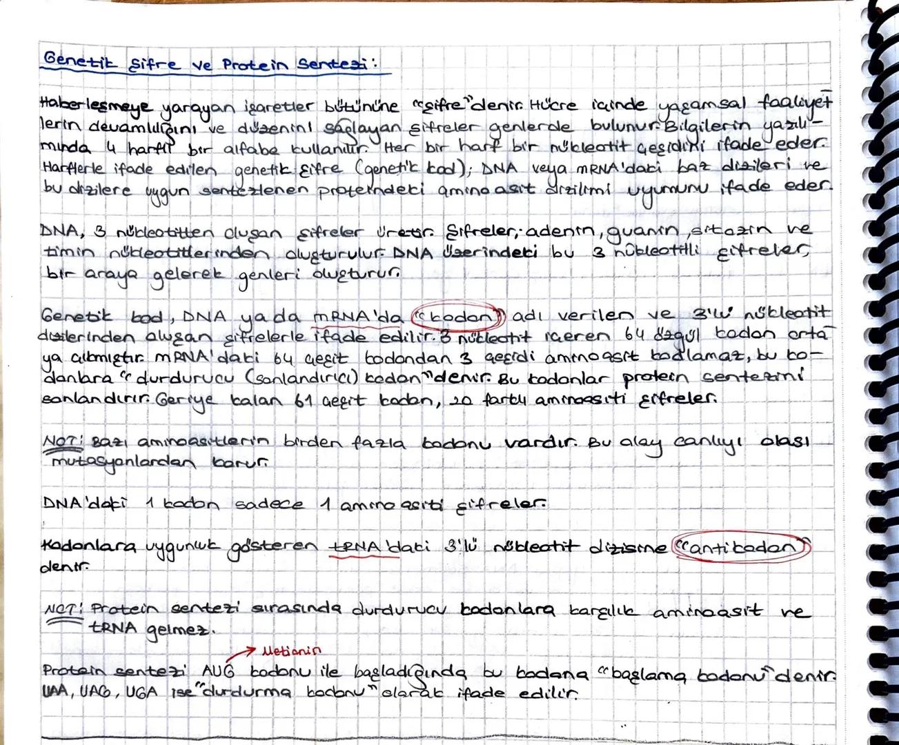Genetik Şifre ve Protein Sentesi:
Haberleşmeye yarayan işaretler bütününe "gifre" denir. Hücre içinde yaşamsal faaliyet
lerin devamliliğini 