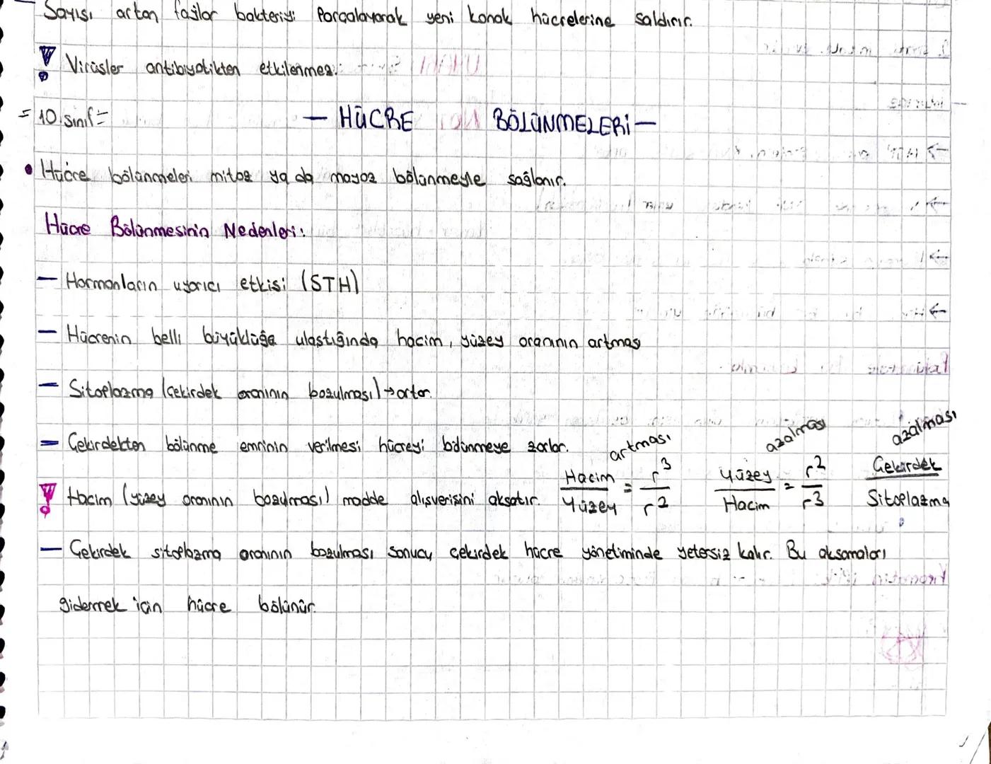 Sayısı artan failor bakteriy: Parçalayarak yeni konok hücrelerine saldırır.
V
9
Virüsler antibiyotikten etkilenmes
10 Sinf
-
HÜCRE
BÖLÜNMELE