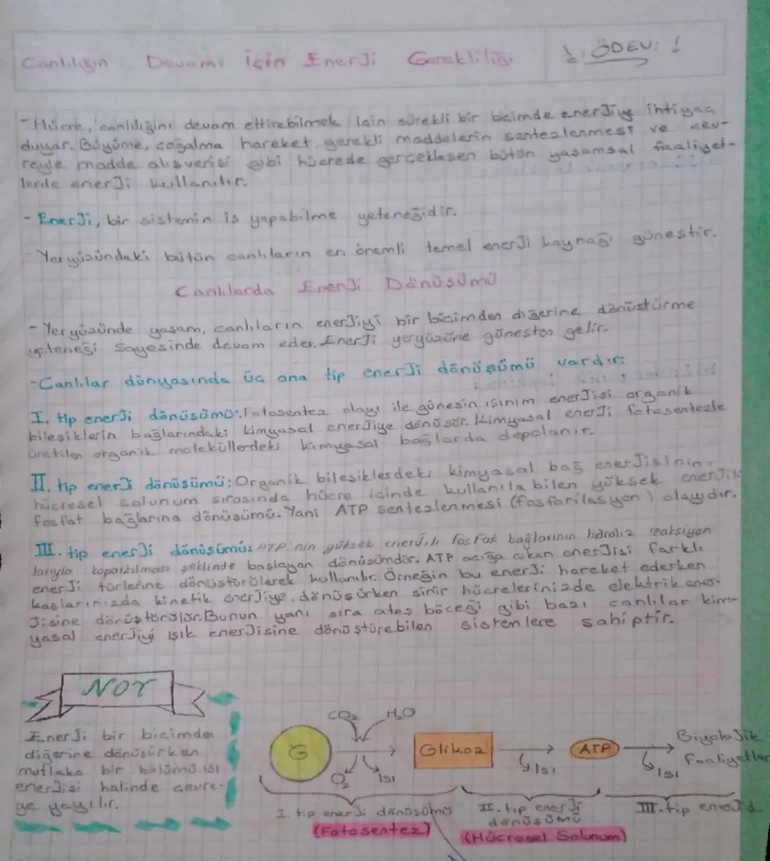 10.sınıf Biyoloji ATP