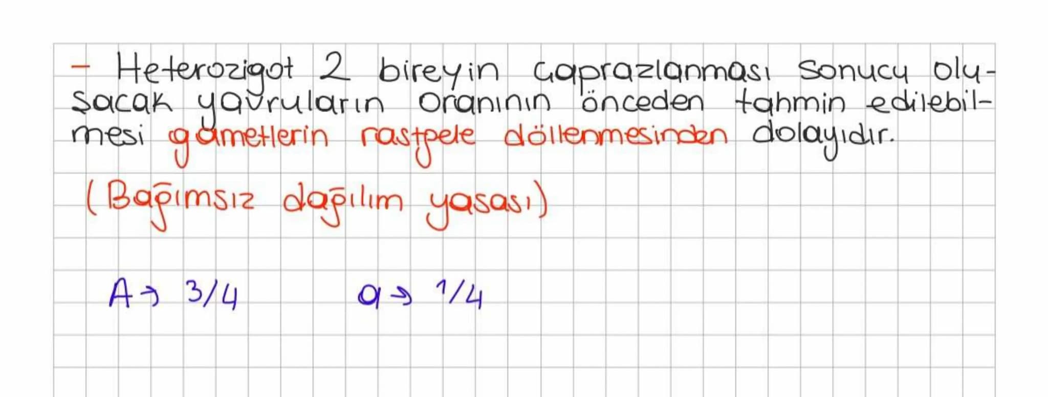 L
-
Mendelin bezelye kullanmasının sebepleri
Kolay yetiştirilmesi
Çok sayıda gözlemlenebilen Karakterinin olması
Hermafrodit olması (erselik