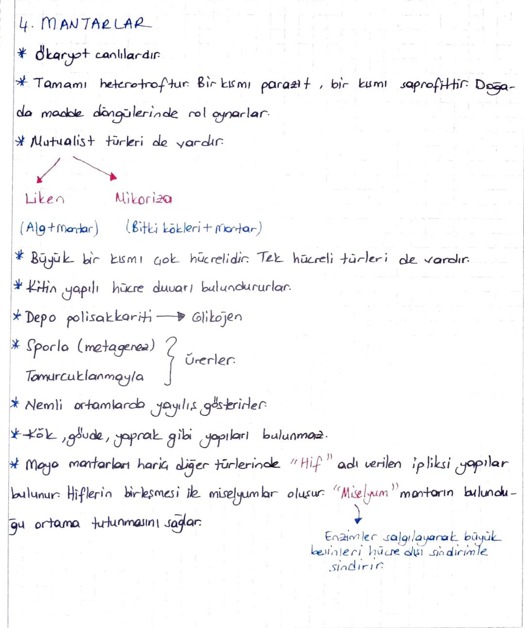 4. MANTARLAR
* Okaryot canlılardır.
* Tamami heterotroftur. Bir kısmi parazit, bir kısmı saprofittir. Doğa-
da madde döngülerinde rol oynarl