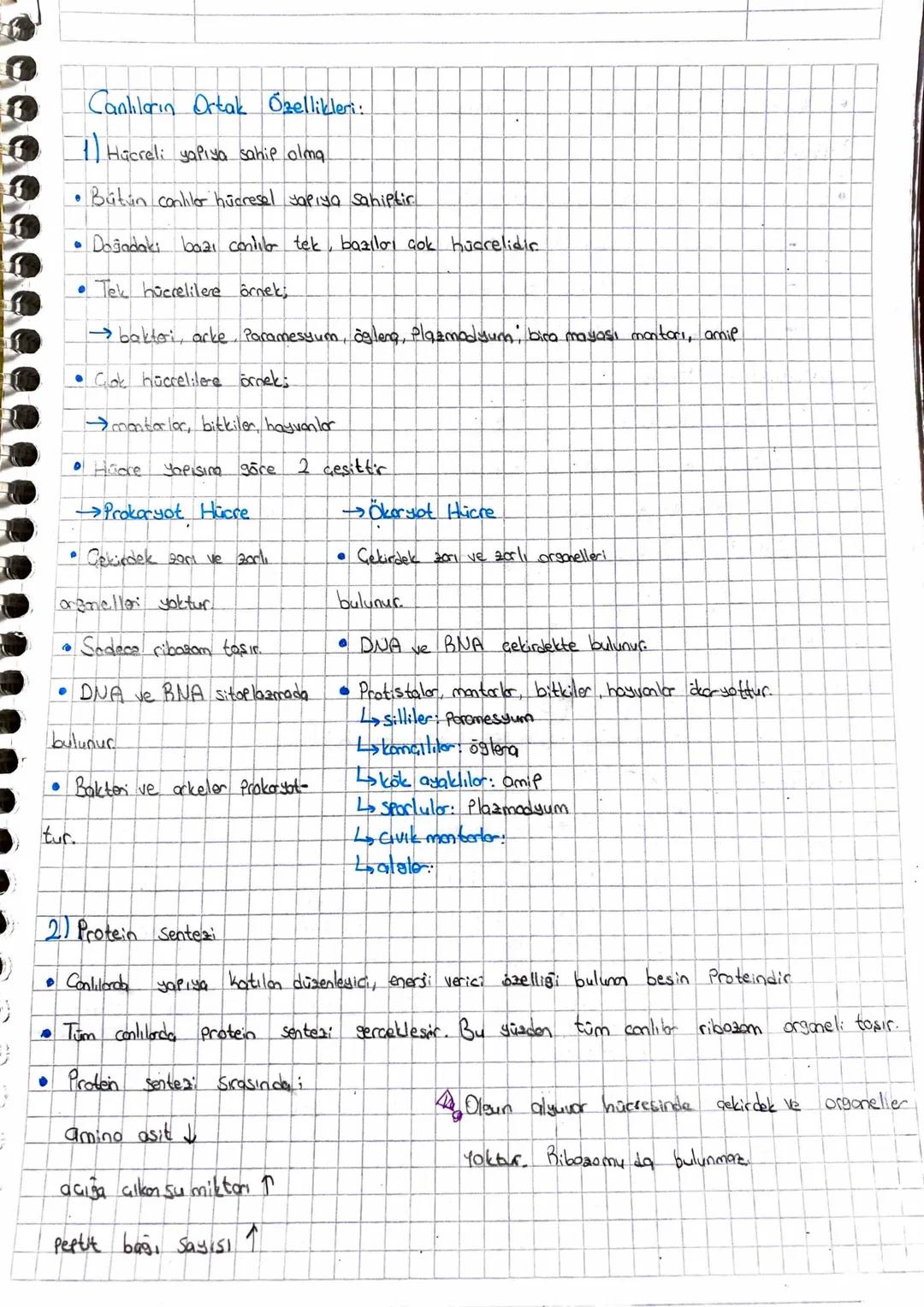 Canlıların Ortak Özellikleri:
1) Hücreli yapıya sahip olma
• Bütün conlilor hücresel yapıya sahiptir.
"
Doğadaki bazı conilla tek, bazılar ç