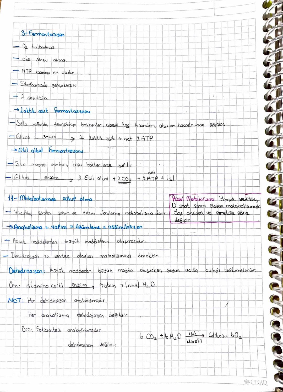 Canlıların Ortak Özellikleri:
1) Hücreli yapıya sahip olma
• Bütün conlilor hücresel yapıya sahiptir.
"
Doğadaki bazı conilla tek, bazılar ç