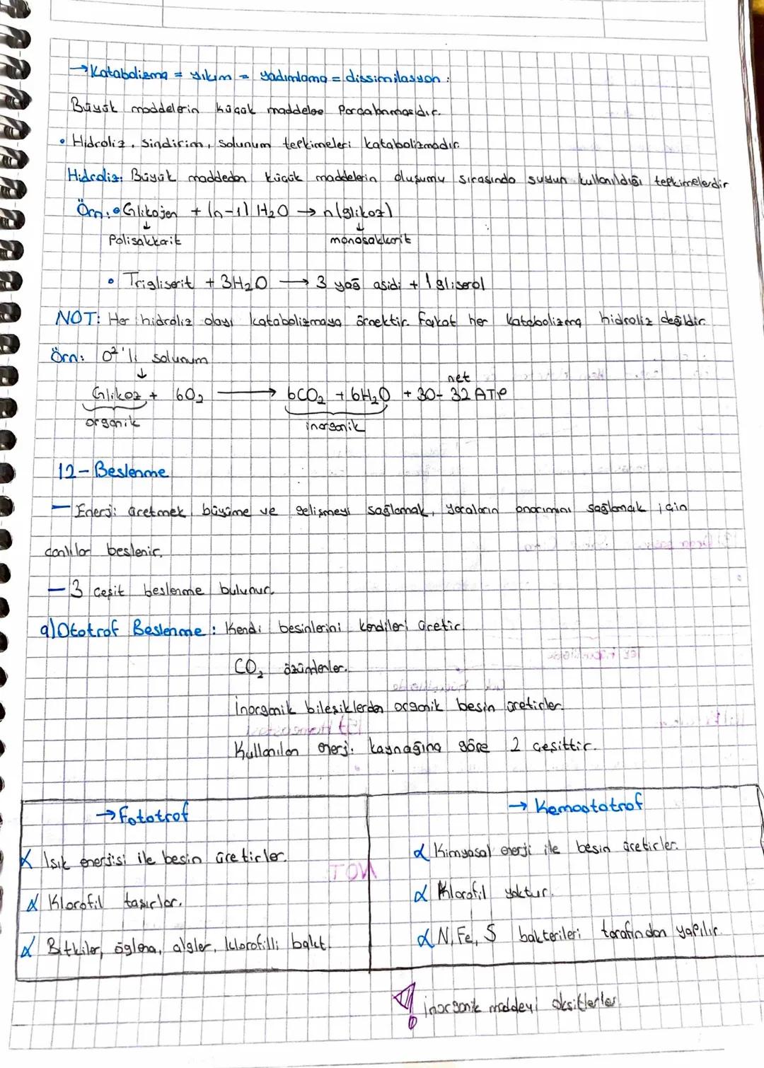 Canlıların Ortak Özellikleri:
1) Hücreli yapıya sahip olma
• Bütün conlilor hücresel yapıya sahiptir.
"
Doğadaki bazı conilla tek, bazılar ç