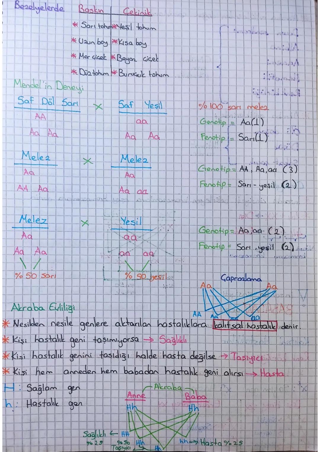 Neden Bezlye?
KALITIM
Yılda birkaç kez ürün verir
*Kolay yetişmesi
Birçok türü olması
*Kapalı çiçek yapısının olması (Dış etkenlerden etkile