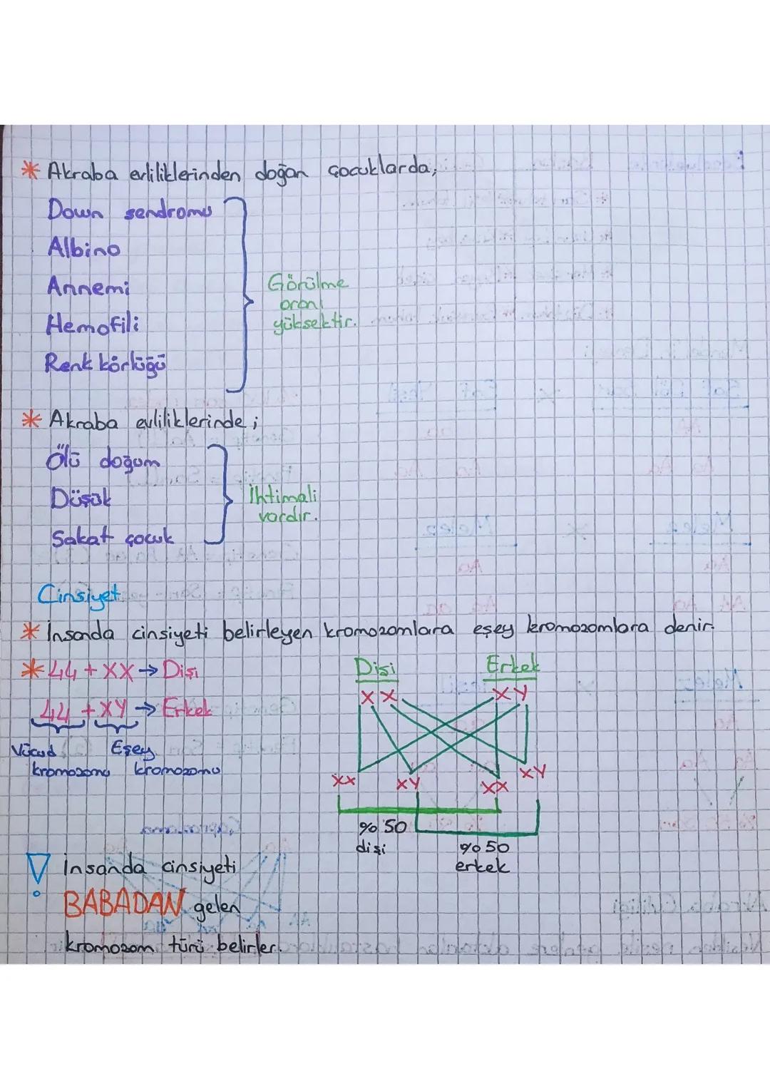 Neden Bezlye?
KALITIM
Yılda birkaç kez ürün verir
*Kolay yetişmesi
Birçok türü olması
*Kapalı çiçek yapısının olması (Dış etkenlerden etkile