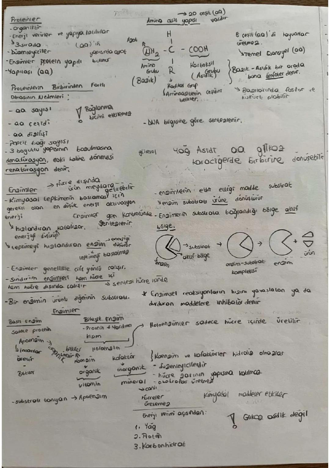 Proteinler
organiktirm
-Enerji verirler ve yapıya katılırlar
→20 çeşit (aa)
Amino asit yopis
vardır
H
3-sirodo
(aq)'in
Agot
-Düsenleyiciler
